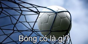 Bóng cỏ là gì?